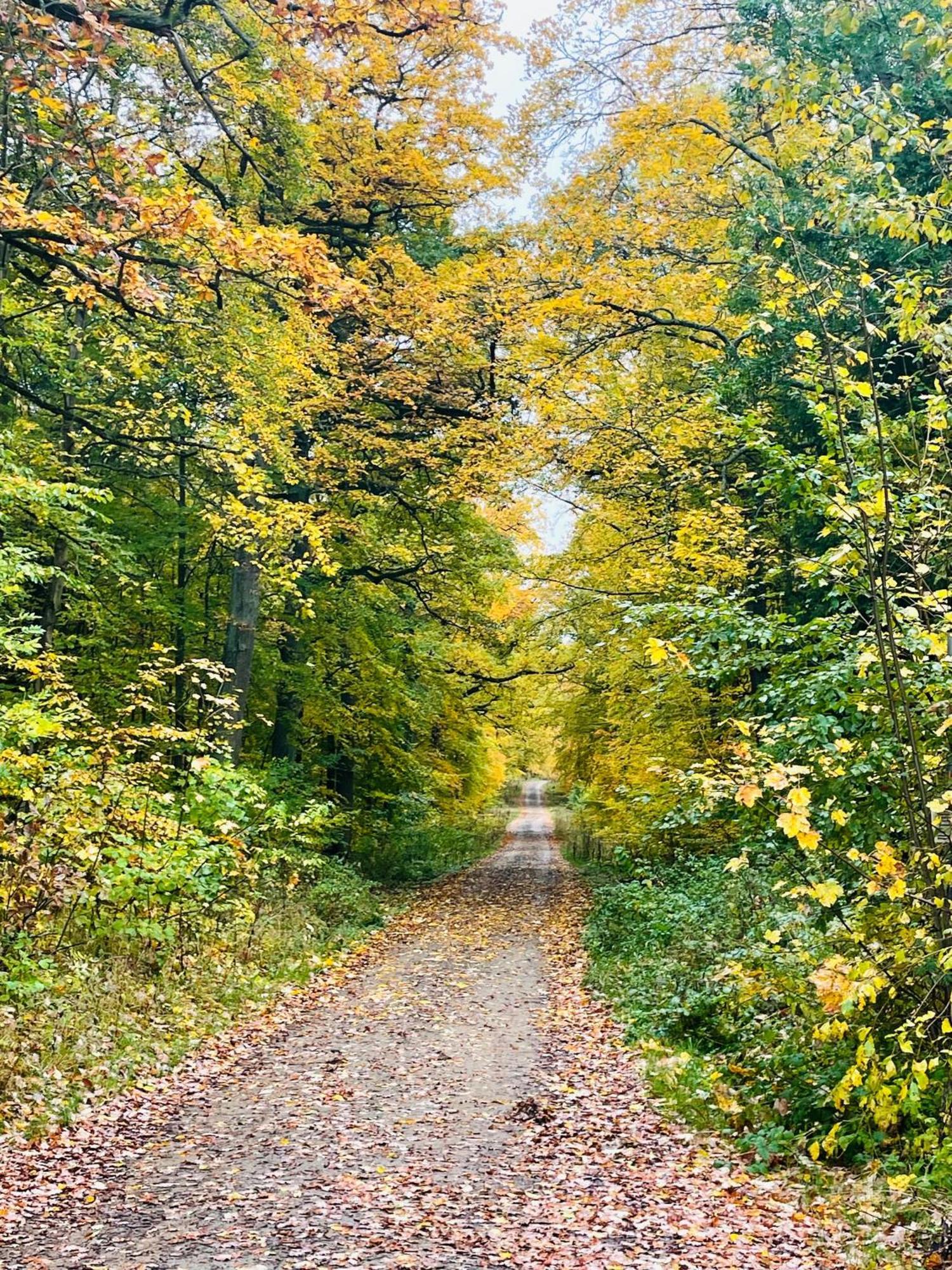 Holla Die Waldfee Konigerode Buitenkant foto